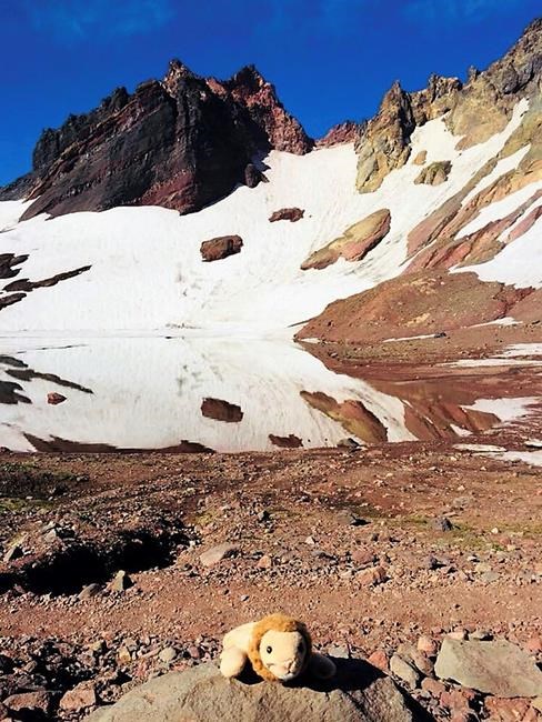Oregon woman reunites girl with toy lion lost on remote hike | iNFOnews.ca Oregon woman reunites girl with toy lion lost on remote hike | iNFOnews.ca