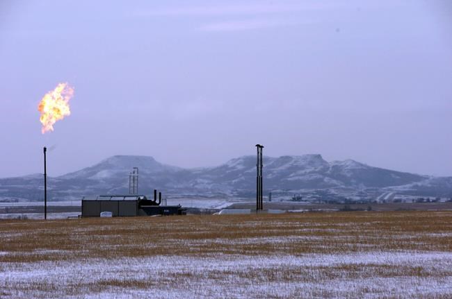 CP1095139069