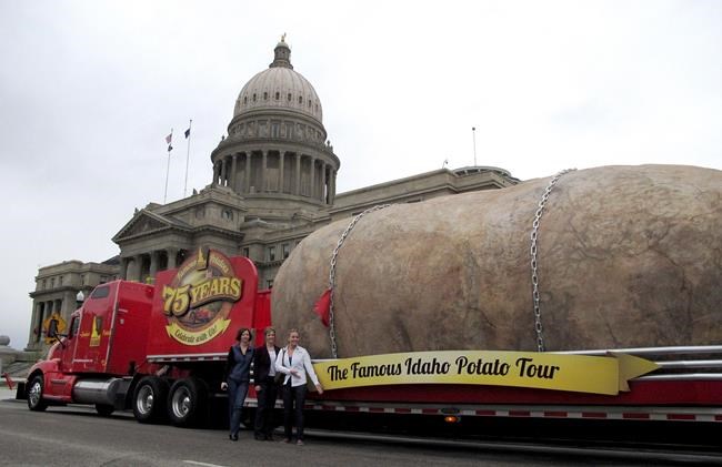 Giant Idaho publicity potato to become tiny vacation rental | iNFOnews.ca