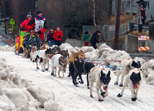 Iditarod musher claims race official threatened him | iNFOnews.ca Iditarod musher claims race official threatened him | iNFOnews.ca