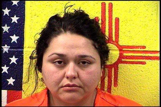 Day care workers indicted in toddlers' hot-car death, injury | iNFOnews.ca