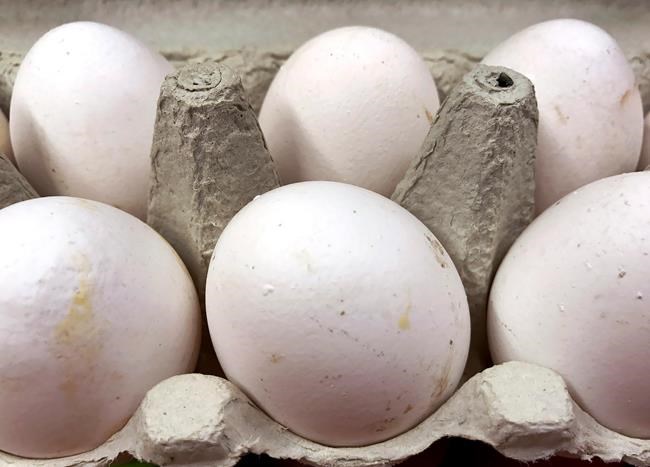 German supermarket chain yanks eggs amid pesticide scare | iNFOnews.ca