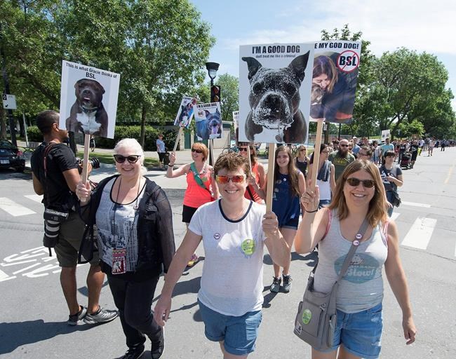 Montreal dog lovers, other Canadians march against breed specific legislation | iNFOnews.ca