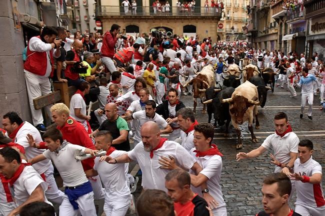 2 injured running with bulls in the streets of Pamplona | iNFOnews.ca 2 injured running with bulls in the streets of Pamplona | iNFOnews.ca