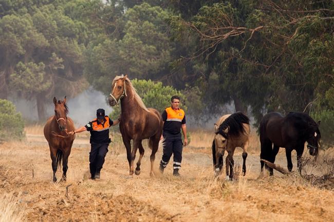 Forest fire in Spain threatens renowned national park | iNFOnews.ca Forest fire in Spain threatens renowned national park | iNFOnews.ca
