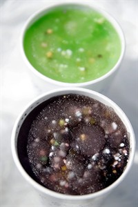Sonic: People like Nerds in drinks, so chain will add another candy-drink option | iNFOnews.ca