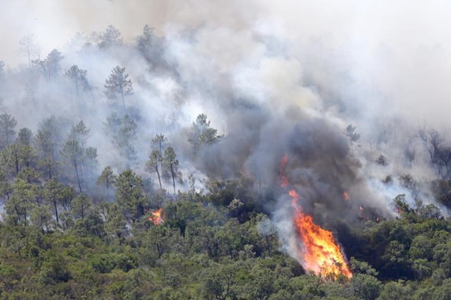The Latest: Poor visibility hurts wildfire fight in Portugal | iNFOnews.ca