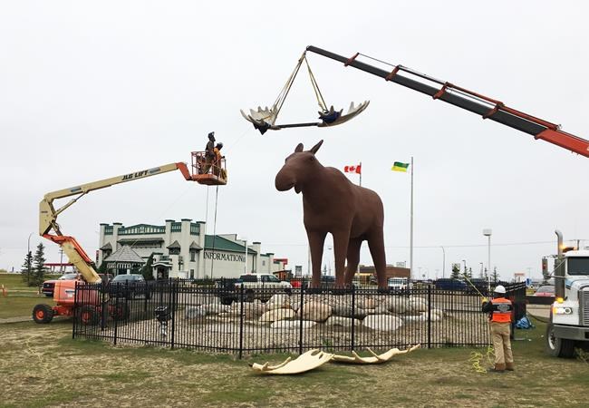 'World-record rack:' Crew crowns Mac the Moose statue with new antlers | iNFOnews.ca 'World-record rack:' Crew crowns Mac the Moose statue with new antlers | iNFOnews.ca