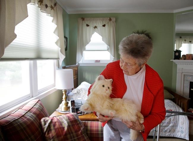 Scientists hope to inject robo-cat with AI to help seniors | iNFOnews.ca