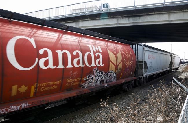 CN, CP ship record grain volumes in 2019-2020 despite blockades and COVID-19 | iNFOnews.ca CN, CP ship record grain volumes in 2019-2020 despite blockades and COVID-19 | iNFOnews.ca