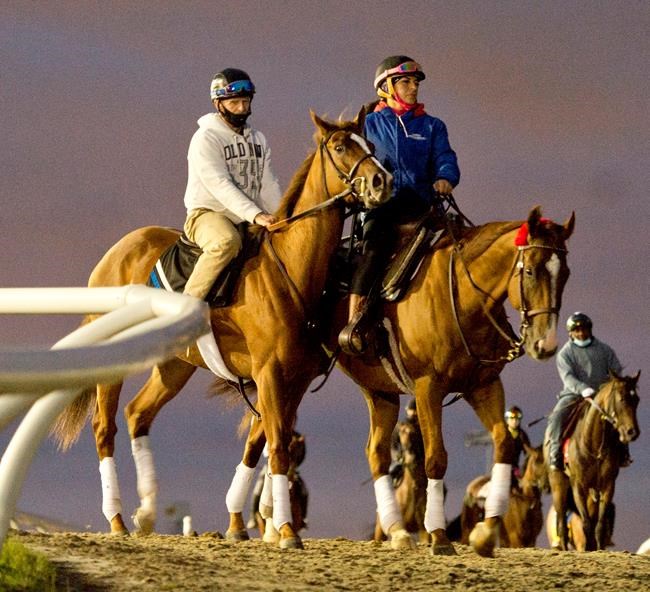 Trainer Josie Carroll will have history on her side at Queen's Plate | iNFOnews.ca