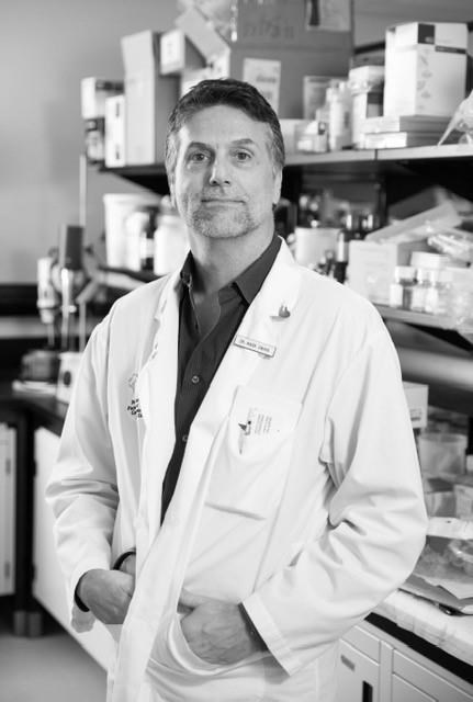 Fatty liver disease a growing public health concern in Canada: study | iNFOnews.ca Fatty liver disease a growing public health concern in Canada: study | iNFOnews.ca