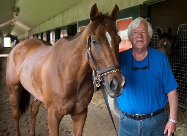 Pink Lloyd chasing record fourth straight win in Grade 3 Jacques Cartier Stakes | iNFOnews.ca Pink Lloyd chasing record fourth straight win in Grade 3 Jacques Cartier Stakes | iNFOnews.ca