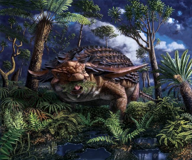Fermenting ferns? Rare dinosaur stomach fossil opens door to ancient world | iNFOnews.ca Fermenting ferns? Rare dinosaur stomach fossil opens door to ancient world | iNFOnews.ca