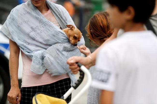 Police shut gypsy camp in Rome despite EU ruling | iNFOnews.ca