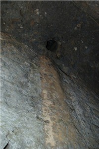 What did ancient Romans eat? Varied diet found from Pompeii latrines, Herculaneum sewers | iNFOnews.ca