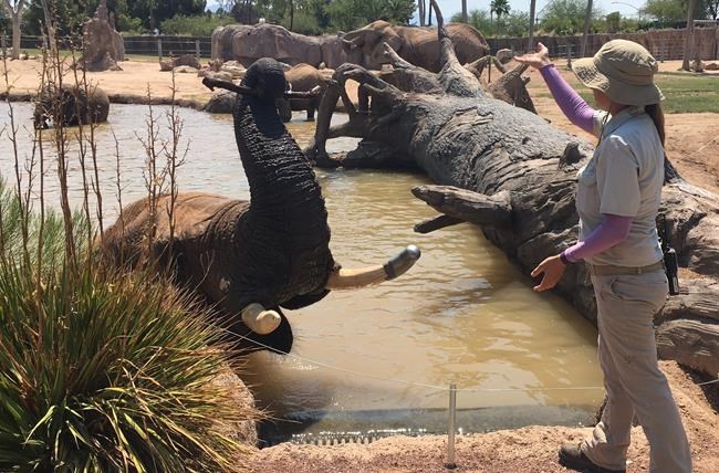 Southwest to get a smidgen of relief from searing heat | iNFOnews.ca