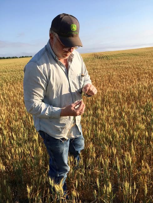 Drought in High Plains the worst some farmers have ever seen | iNFOnews.ca Drought in High Plains the worst some farmers have ever seen | iNFOnews.ca