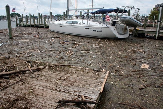 Maryland concerned about Pennsylvania's water plans for bay | iNFOnews.ca Maryland concerned about Pennsylvania's water plans for bay | iNFOnews.ca