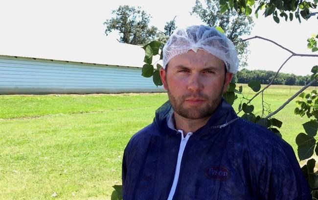 Tyson adopting video checks, animal rights groups want more | iNFOnews.ca