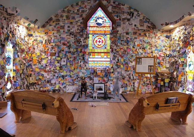 No bones about it, group wants to preserve doggie haven | iNFOnews.ca