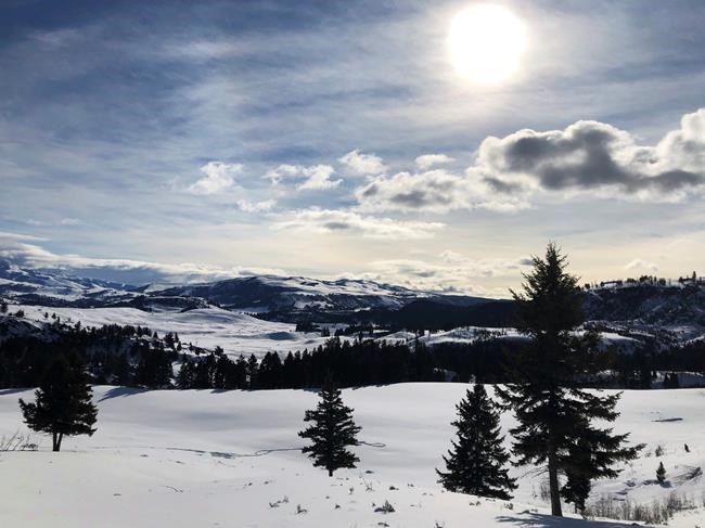 Appeals grow to close US national parks during pandemic | iNFOnews.ca Appeals grow to close US national parks during pandemic | iNFOnews.ca