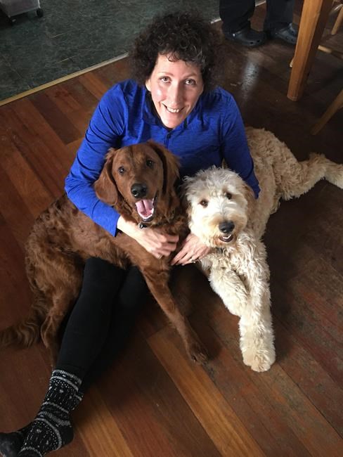 Toughening penalties if pets are harmed during crimes | iNFOnews.ca