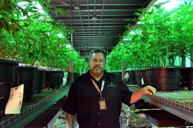 Marijuana investors skittish after Sessions' shot at pot | iNFOnews.ca