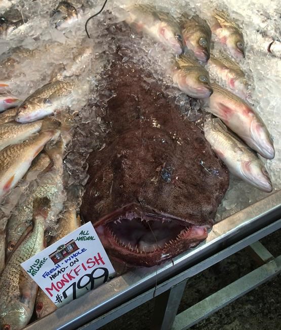 Ugly delicacy? Industry touts weird-looking Monkfish | iNFOnews.ca Ugly delicacy? Industry touts weird-looking Monkfish | iNFOnews.ca