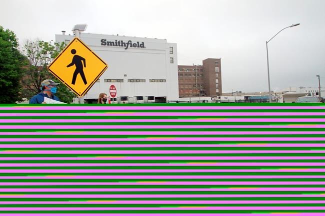 Smithfield Foods pork plant faces OSHA fine from outbreak | iNFOnews.ca Smithfield Foods pork plant faces OSHA fine from outbreak | iNFOnews.ca
