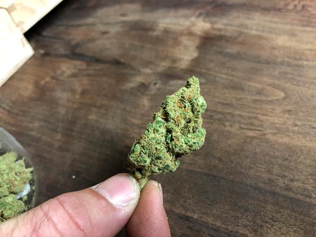 Oklahoma quickly becoming medical marijuana hotbed | iNFOnews.ca Oklahoma quickly becoming medical marijuana hotbed | iNFOnews.ca