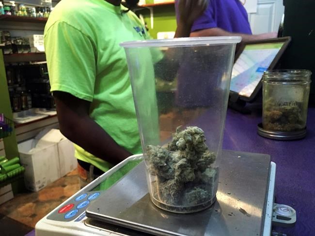 Big labour sees growth potential in California pot workers | iNFOnews.ca