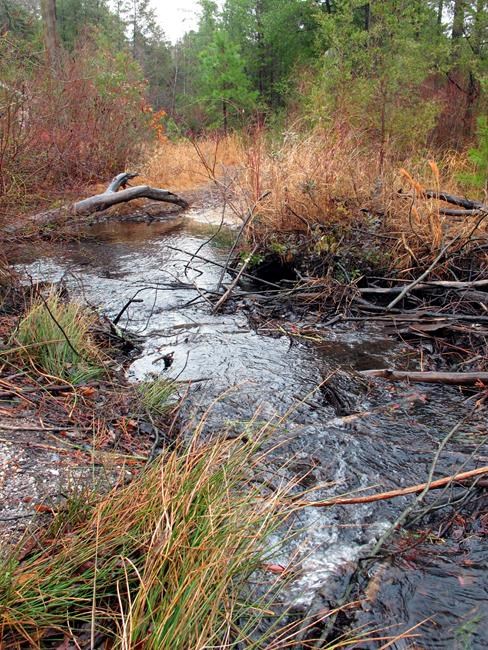 New Jersey orders cleanup of clothing, cookware chemicals | iNFOnews.ca New Jersey orders cleanup of clothing, cookware chemicals | iNFOnews.ca
