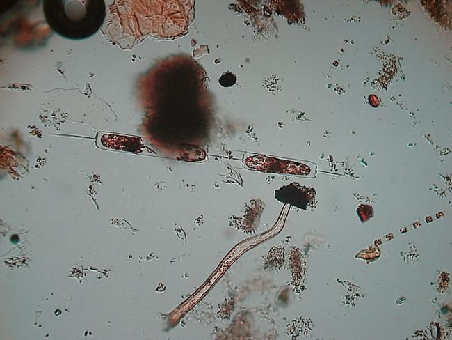 Testing shows these waves are sick, in totally the wrong way | iNFOnews.ca