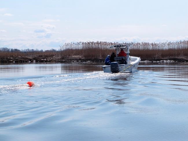 This red tide might be good news for New Jersey oyster beds | iNFOnews.ca