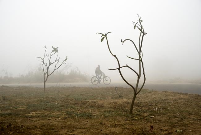 Dense fog disrupts travel in New Delhi and northern India | iNFOnews.ca Dense fog disrupts travel in New Delhi and northern India | iNFOnews.ca