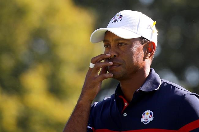 Tiger Effect creating excitement for Ryder Cup and next year | iNFOnews.ca