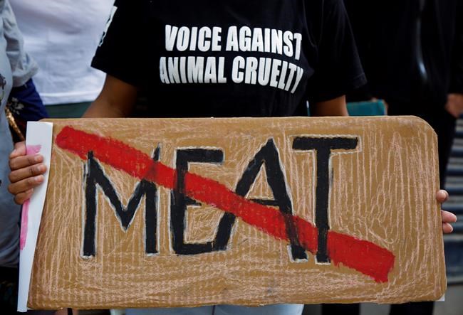 Groups hope to stop animal sacrifices during Nepal festival | iNFOnews.ca Groups hope to stop animal sacrifices during Nepal festival | iNFOnews.ca