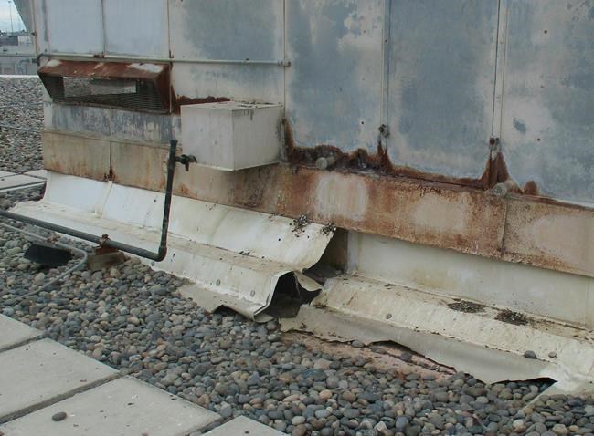 Maggots, mice fall into California prison dining hall | iNFOnews.ca