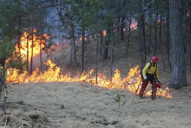 Wind gusts, smoke complicate firefighters job in Custer park | iNFOnews.ca