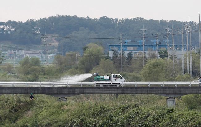 South Korea confirms 2nd case of African swine fever | iNFOnews.ca CP1181751100