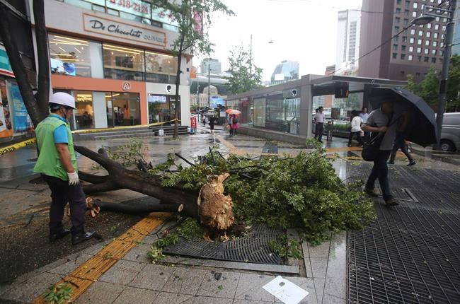 Typhoon kills 5 in North Korea, 3 in South Korea | iNFOnews.ca
