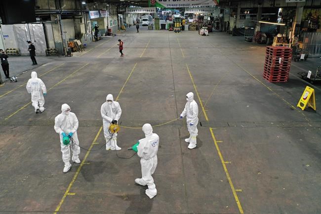 New virus has infected more than 75,000 people globally | iNFOnews.ca CP289913668