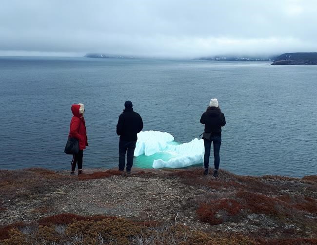 Early, photogenic iceberg raises expectations for Newfoundland's season | iNFOnews.ca