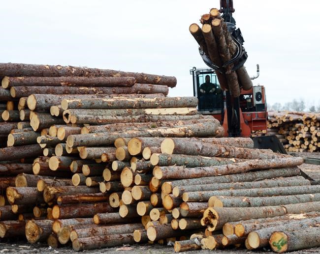 Ontario boosts forestry road funding by $20M in response to softwood tariffs | iNFOnews.ca