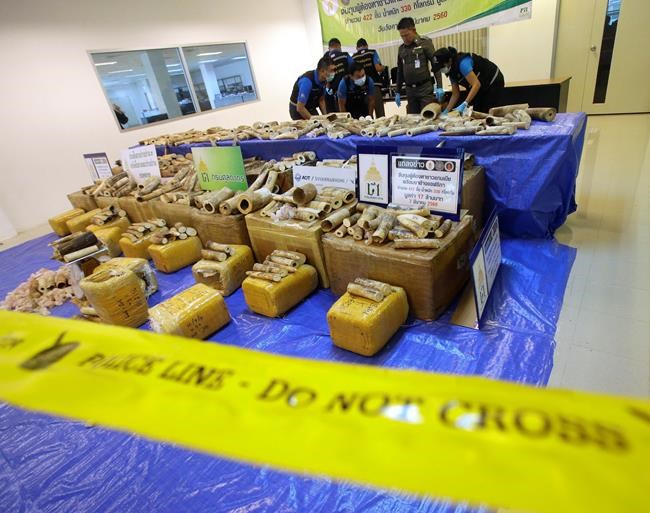 Thailand seizes 422 pieces of smuggled elephant tusks | iNFOnews.ca Thailand seizes 422 pieces of smuggled elephant tusks | iNFOnews.ca