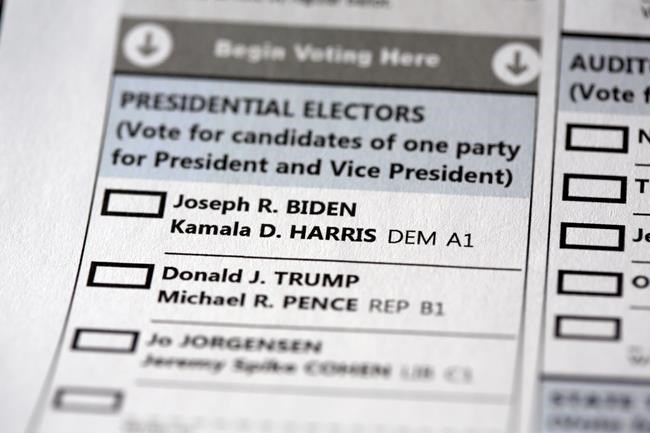 EXPLAINER: From the 2020 election, some new political terms | iNFOnews.ca