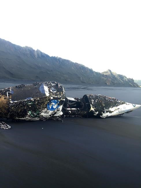 Kayak completes solo voyage from Australia to New Zealand | iNFOnews.ca