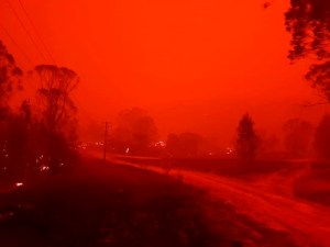 CP1173254190