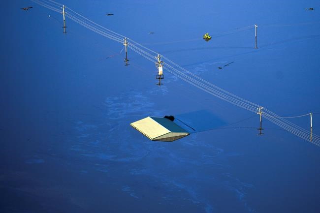 2 trapped drivers become first Australian flood fatalities | iNFOnews.ca